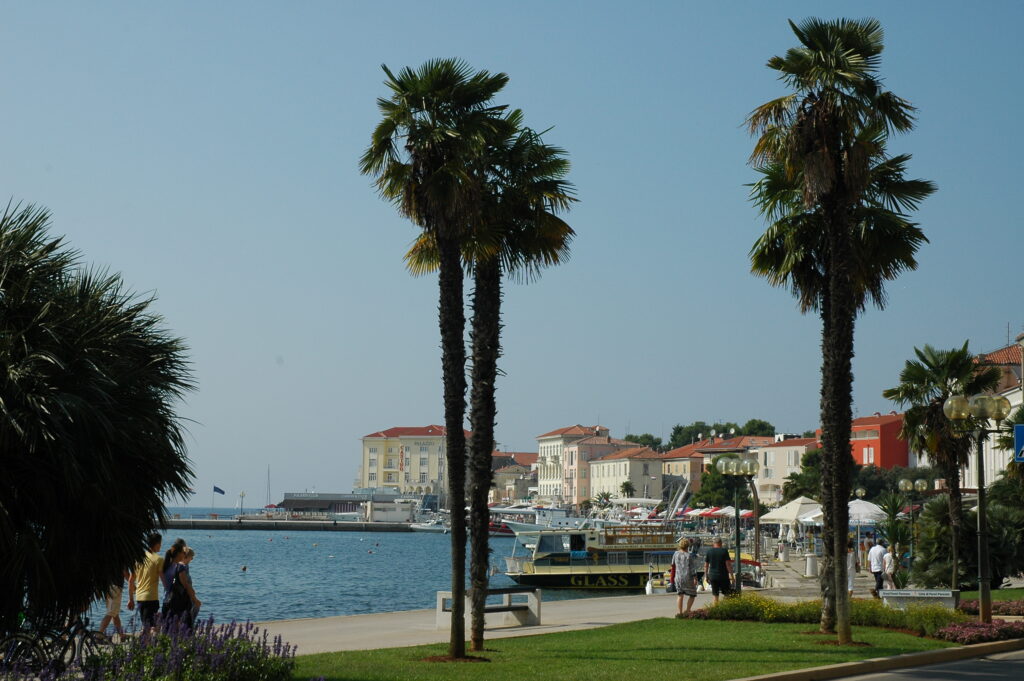 DSC 7801